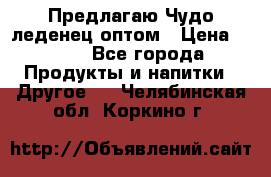 Предлагаю Чудо леденец оптом › Цена ­ 200 - Все города Продукты и напитки » Другое   . Челябинская обл.,Коркино г.